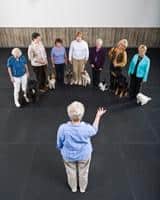 Training classes
