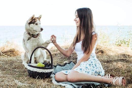 Ung kvinde holder rød siberisk husky