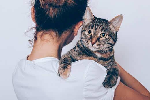 Ung kvinde holder sin stribede kat, som ser seriøs ud. Ejer krammer kæledyr i hvid baggrund.