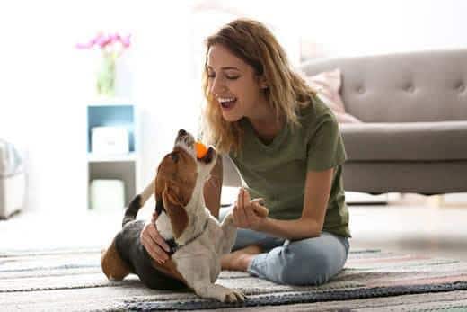 Ung kvinde leger med sin hund derhjemme