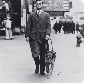 Morris Frank går tur med sin hund, Buddy